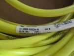 Allen Bradley 889-F3ECA-10 Cordset cable 250VAC 4Amp Series B *BRAND NEW* - Image 6