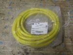 Allen Bradley 889M-F12AH-5 M23 Cable 12-Pin 12-Wire Straight Female 5m *NEW*