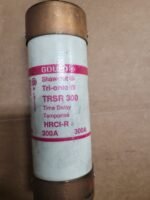 Ferraz Shawmut, TRSR 300, Type D, 300Amp. 600V. time delay fuse