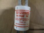 FERRAZ SHAWMUT A50P250-4 SEMICONDUCTOR FUSE 250A 500 VAC *NEW*