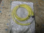 Allen Bradley 889N-F3AFC-6F QD Cordset 3 PIN Mini Straight 6Ft Ser B  *NEW*
