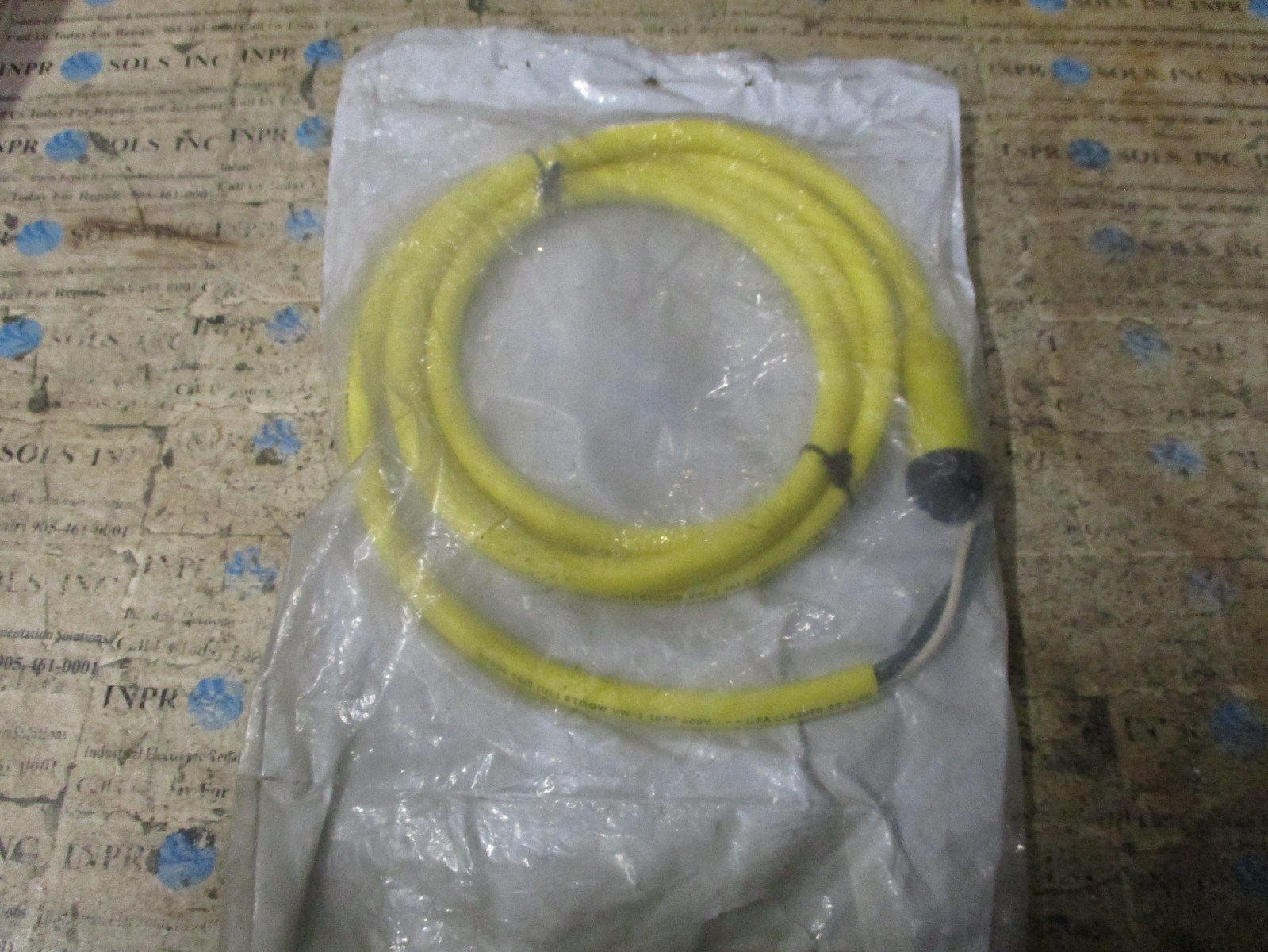 Allen-Bradley-889N-F3AFC-6F-QD-Cordset-3-PIN-Mini-Straight-6Ft-Ser-B-NEW-157242382086 Allen Bradley 889N-F3AFC-6F QD Cordset 3 PIN Mini Straight 6Ft Ser B *NEW* - Image 1